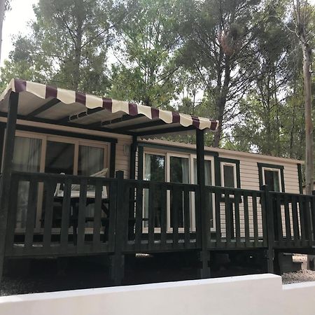 Villaggio Camping Golfo Di Arzachena Cannigione Zewnętrze zdjęcie