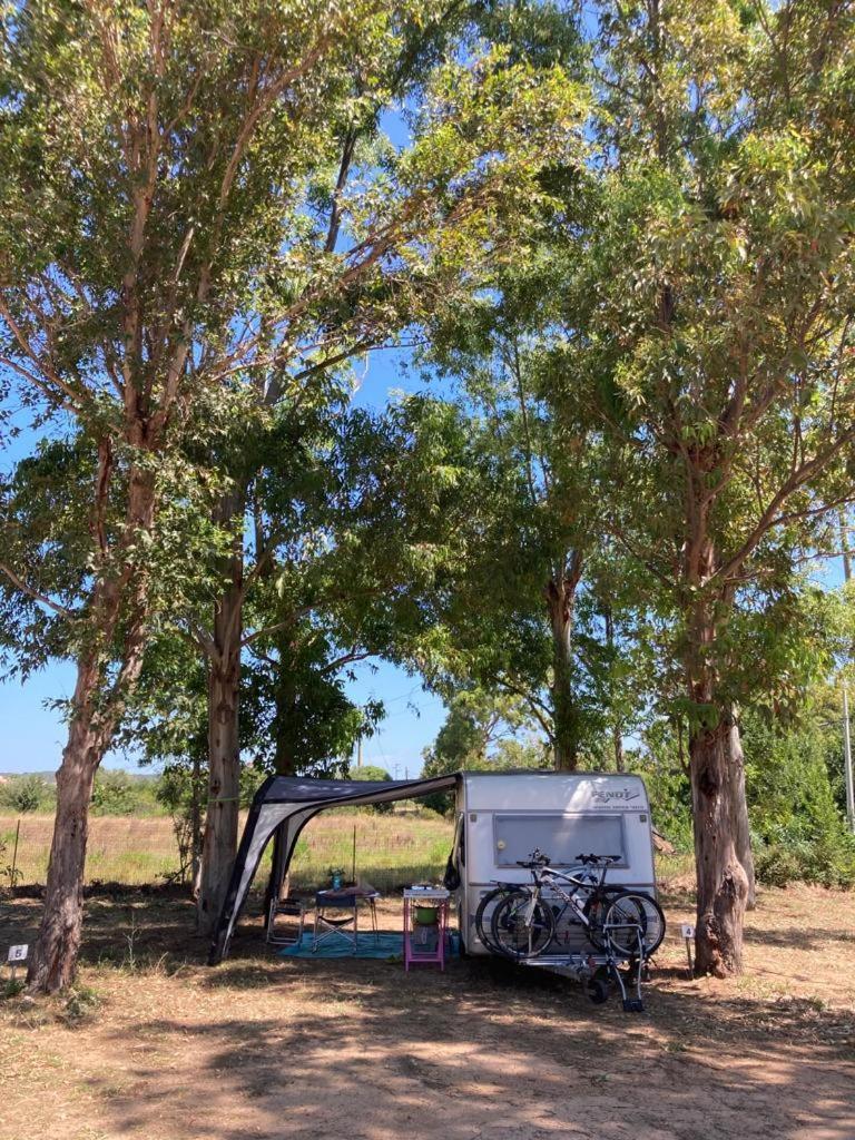 Villaggio Camping Golfo Di Arzachena Cannigione Zewnętrze zdjęcie